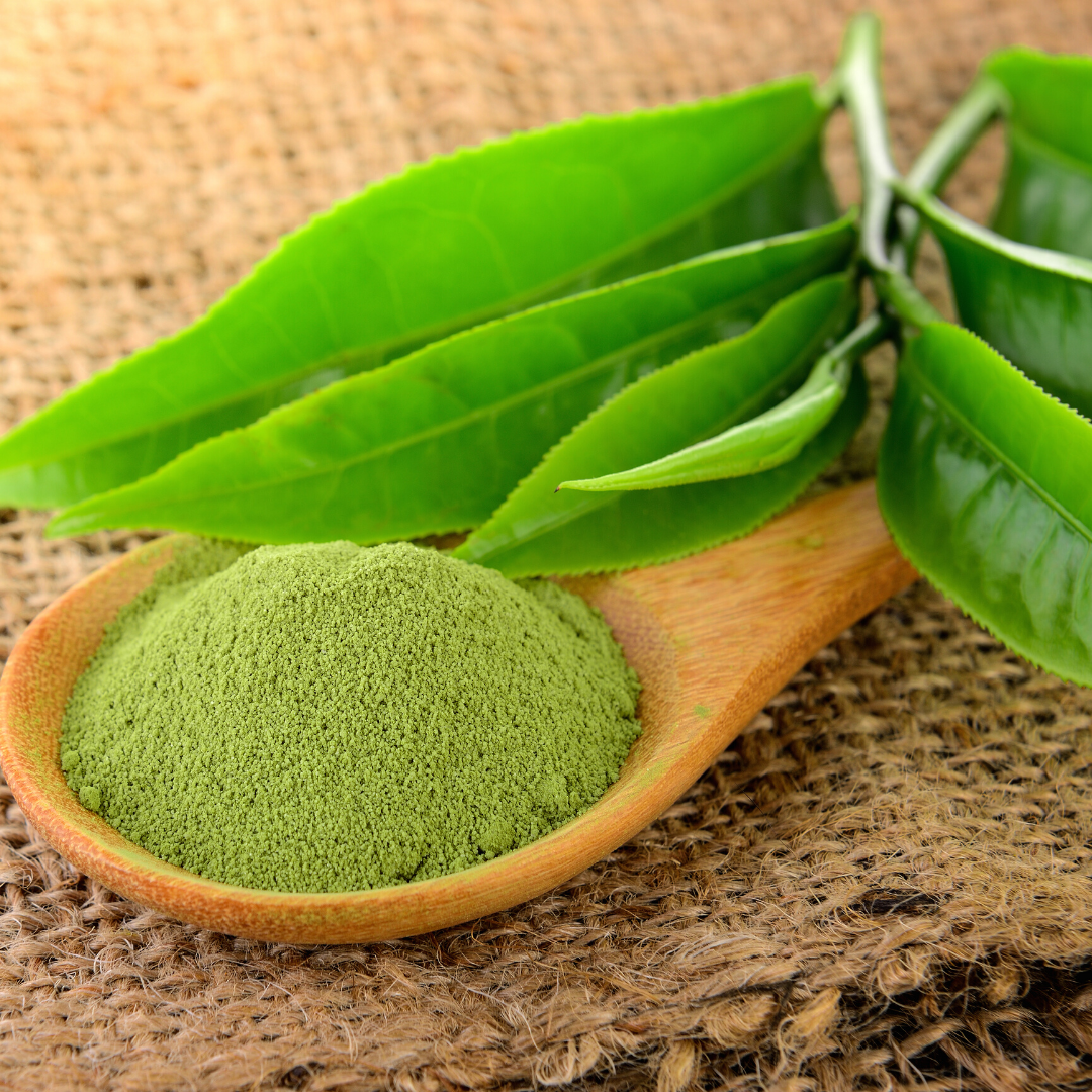 Tega Organic Japanese Matcha Green Tea Powder 40g